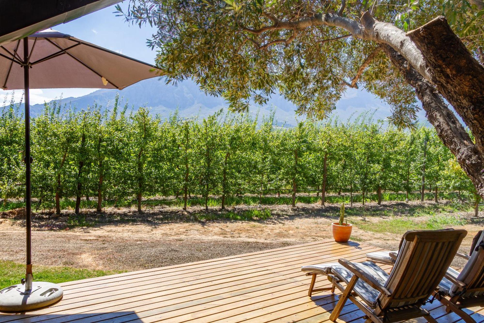 Bergsicht Country Farm Cottages Tulbagh Εξωτερικό φωτογραφία